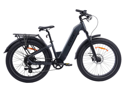 CCM Nahanni Step through eBike All-terrain