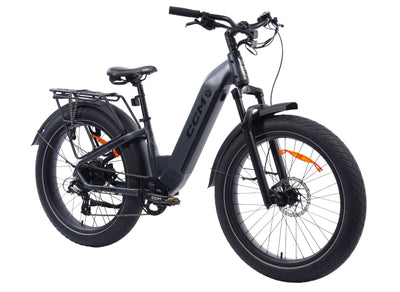 CCM Nahanni Step through eBike All-terrain