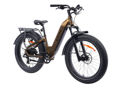 CCM Nahanni Step through eBike All-terrain