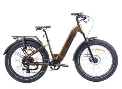 CCM Nahanni Step through eBike All-terrain